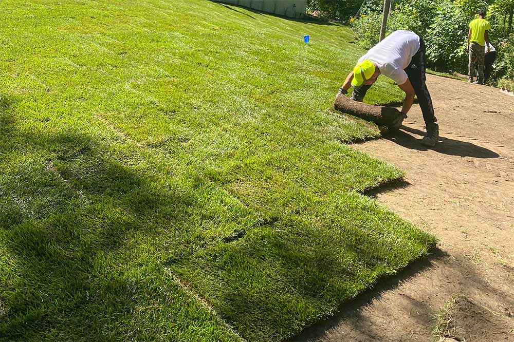 Commercial Gardening Services Commercial Gardening Services