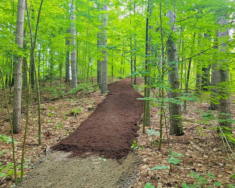New Trail Construction New Trail Construction