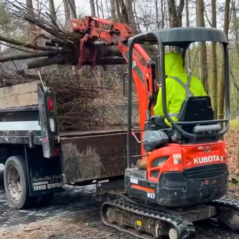 Trail Restoration & Cleanup Trail Restoration & Cleanup